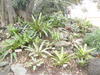 AU_2010-04-24_012.JPG
